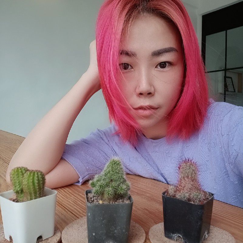 เมก้า