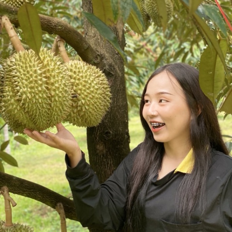 เบล