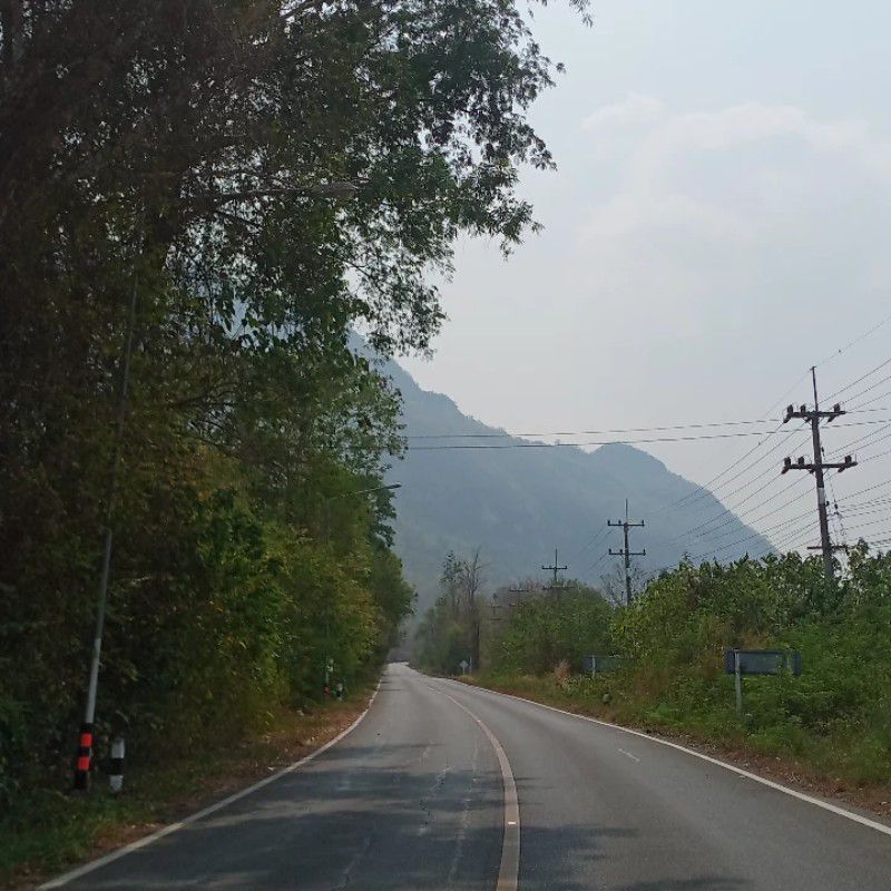 ชวโรจณ์ พิกุลทอง