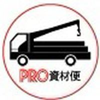 Show profile photo