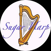 Show profile photo