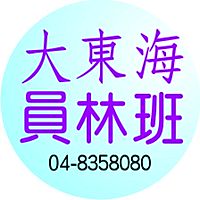Show profile photo