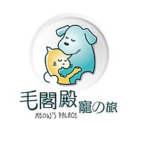Show profile photo