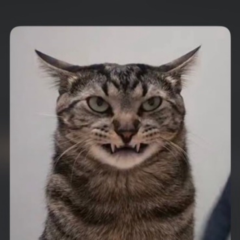 แนน