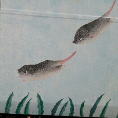 秘書處盧俊穎Grace