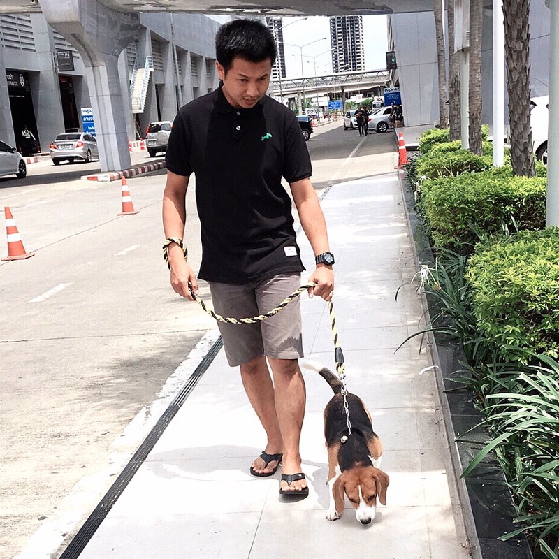 บอย