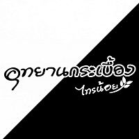 Show profile photo