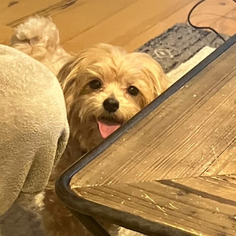 なぎさ