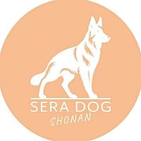 Show profile photo