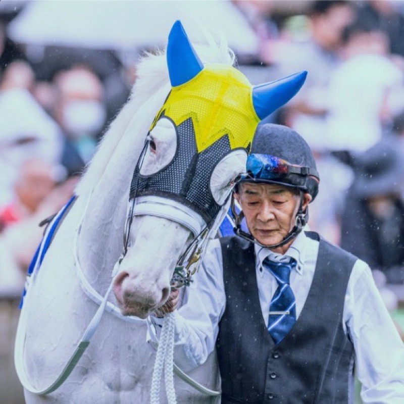 🐎🐾chiho🐎🐾