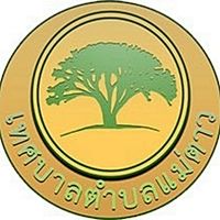 Show profile photo