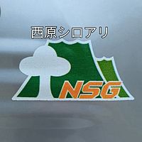 Show profile photo