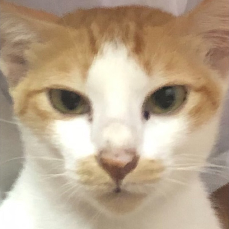 ธนพร