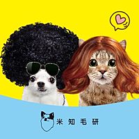 Show profile photo