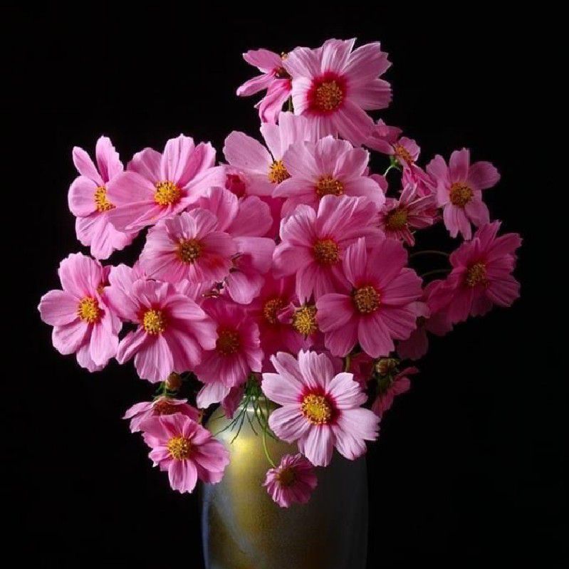 ฟ้าใส