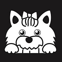 Show profile photo
