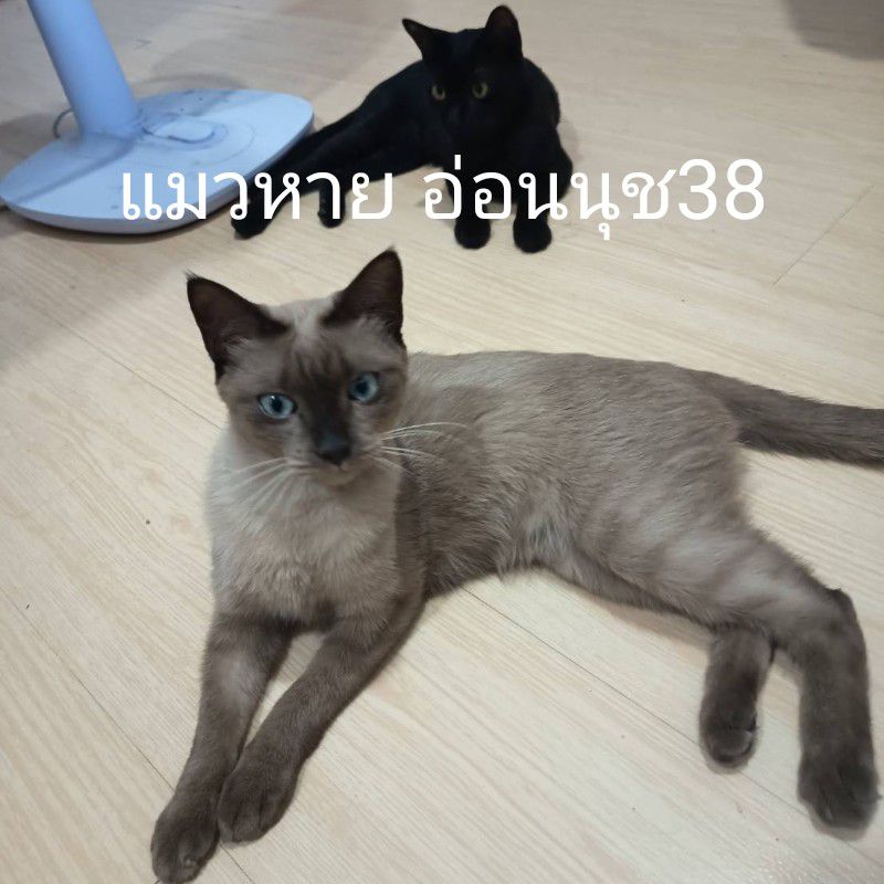 อรวดี สีบุญเรือง