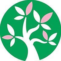 Show profile photo