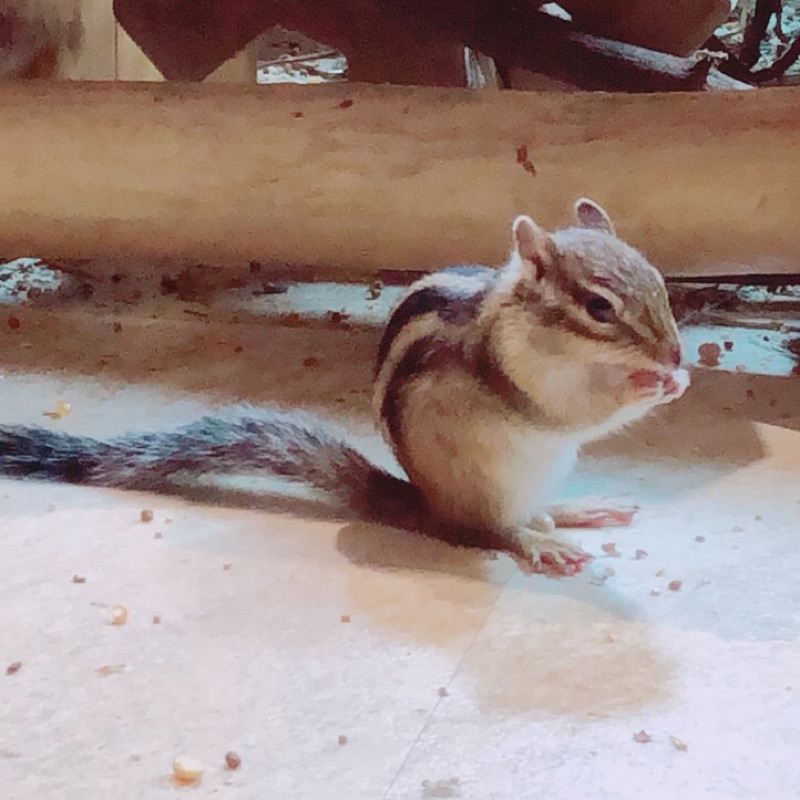 あこ
