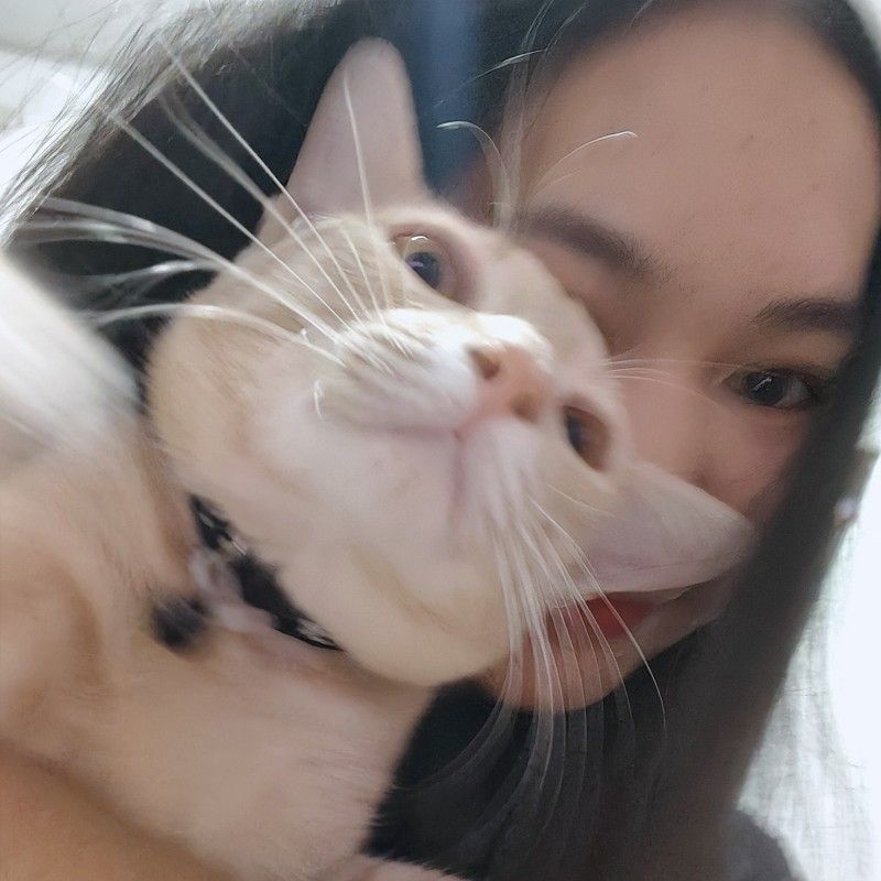 ต้าร์