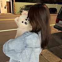 Show profile photo