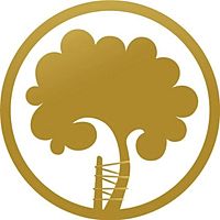 Show profile photo