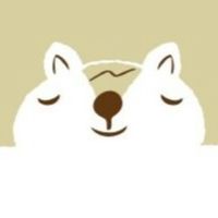 Show profile photo