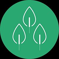 Show profile photo