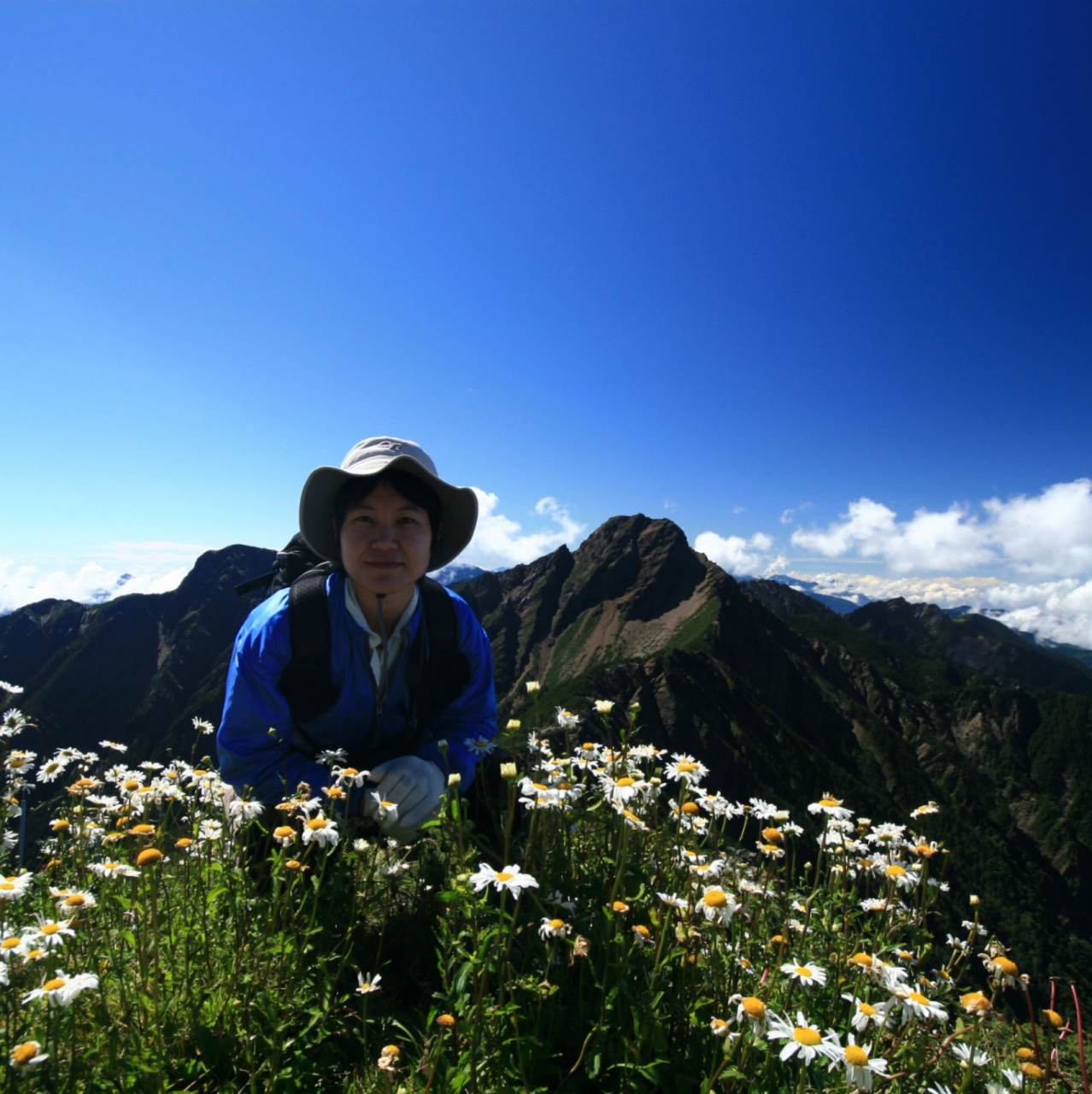 愛山的青的頭像