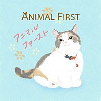 Show profile photo
