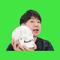 Show profile photo