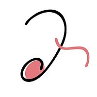 Show profile photo