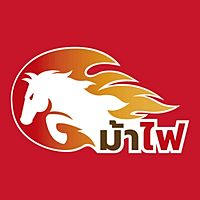 Show profile photo