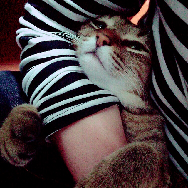 たかまつれいこ