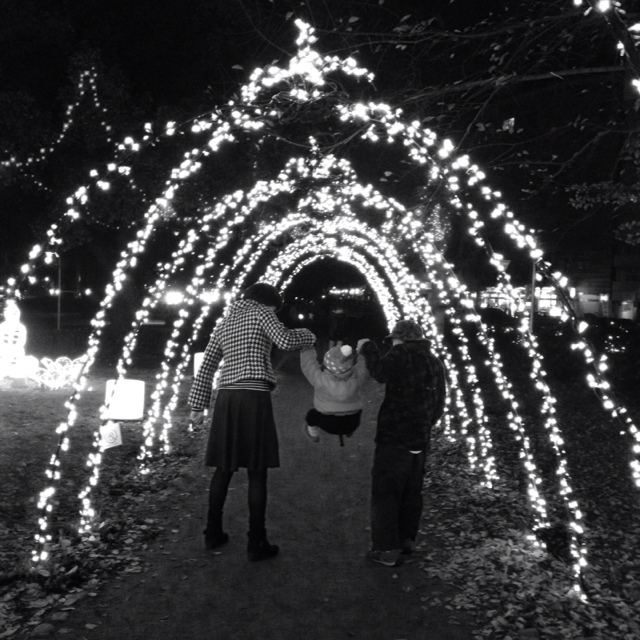 ひさむら🌈すみ   樹の音🌲kinone