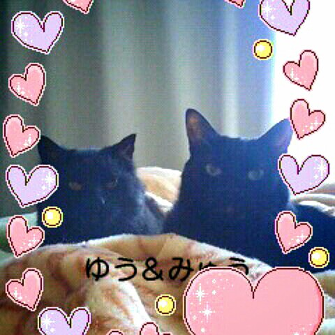 良子にゃんmemorial.day1999-12-24.y@docom