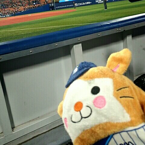 やまさんやまさん