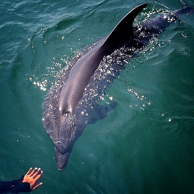 ★たかはし なおこ★