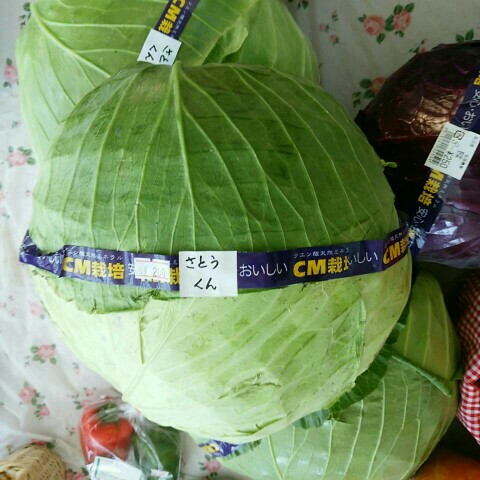 さとうこうたろう