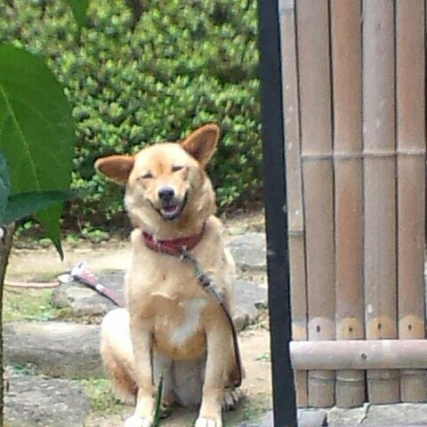 栗原倫子