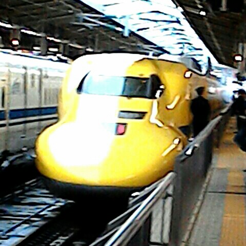 さくらいゆきの