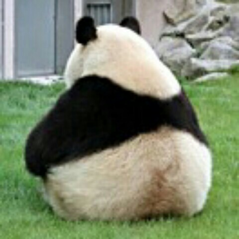 ゆかりそ@小坂井