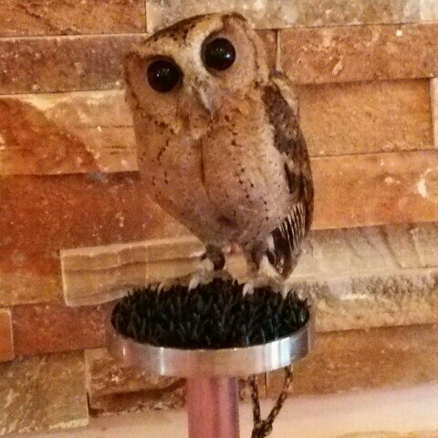 G1 Vegetable Wine 堺 イタリアン Retty