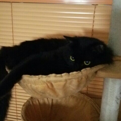 eko　🐾