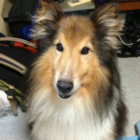 レイちゃんママ