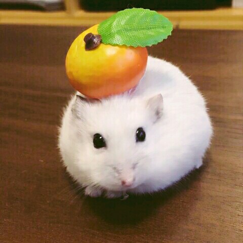 小川(せせらぎ)よし子