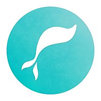 Show profile photo