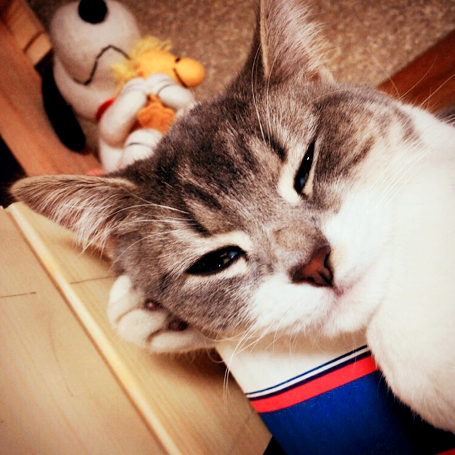 negi