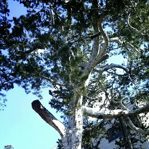 タカムラ トモノリ 🤗