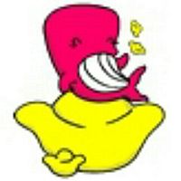 Show profile photo